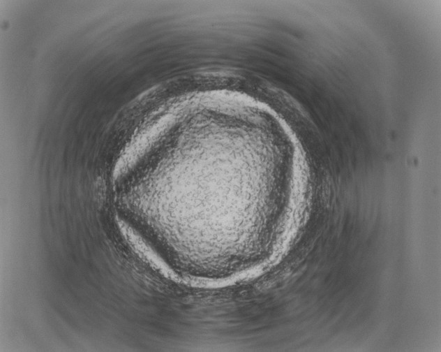 X0000080730821200701051057