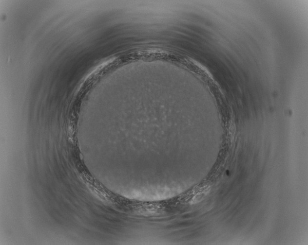 X0000080730823200701051057