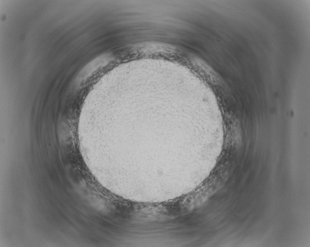 X0000080730824200701051057