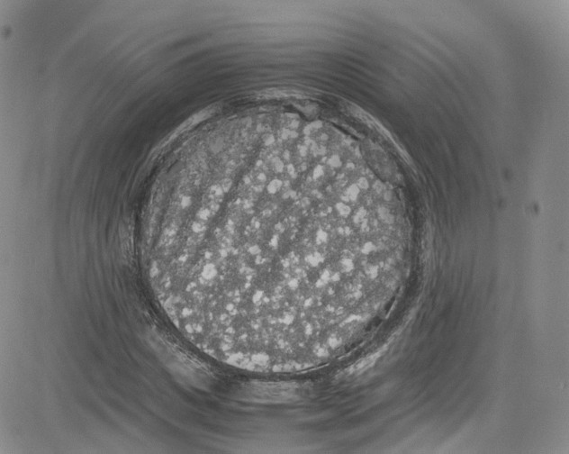 X0000080730825200701051057