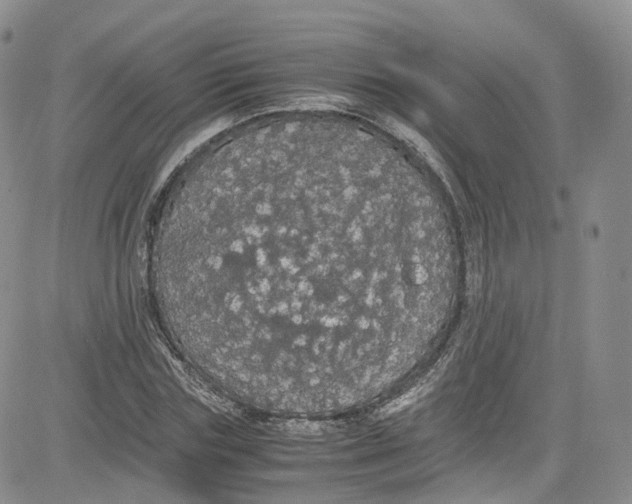 X0000080730827200701051057