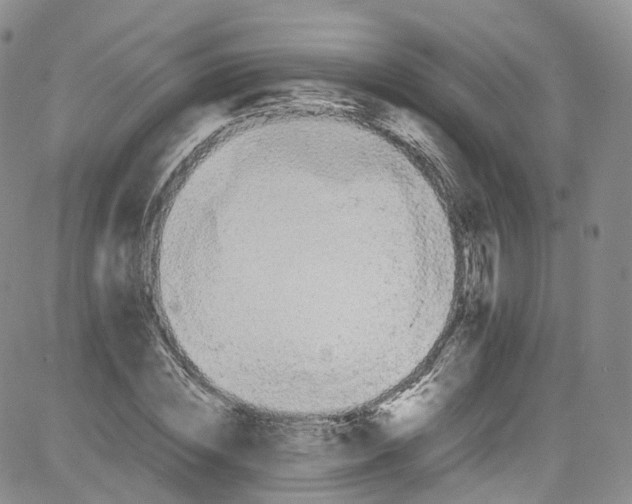 X0000080730828200701051057