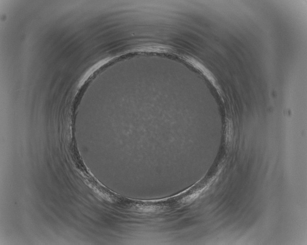 X0000080730829200701051057