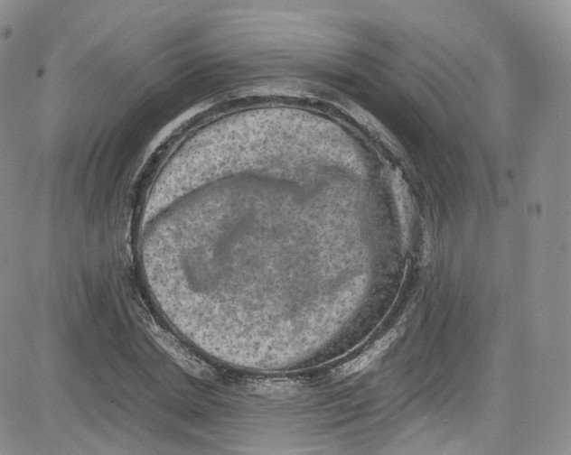 X0000080730830200701051057