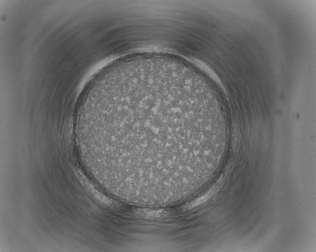 X0000080730831200701051057