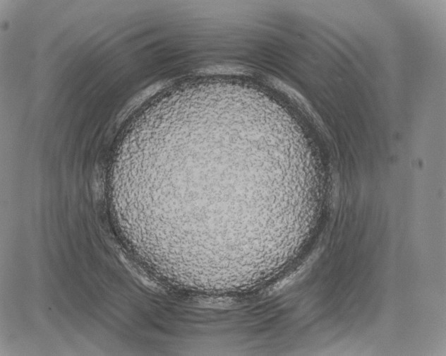 X0000080730833200701051057