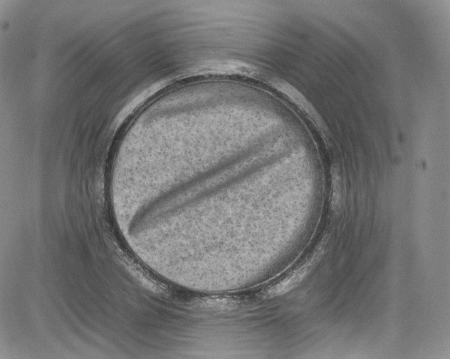 X0000080730834200701051057