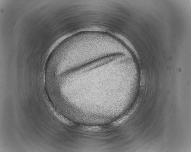 X0000080730837200701051057