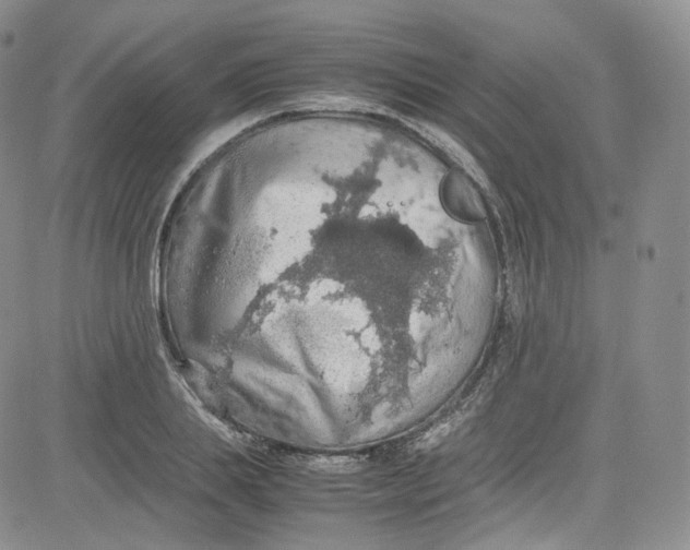 X0000080730839200701051057