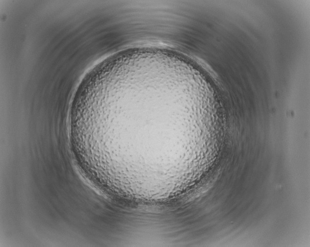 X0000080730840200701051057