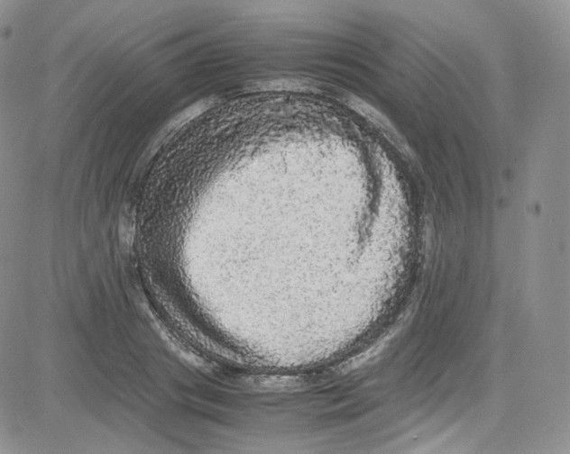 X0000080730841200701051057