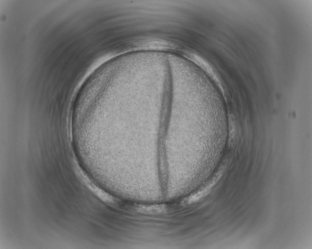 X0000080730843200701051057