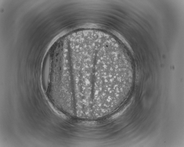 X0000080730845200701051057