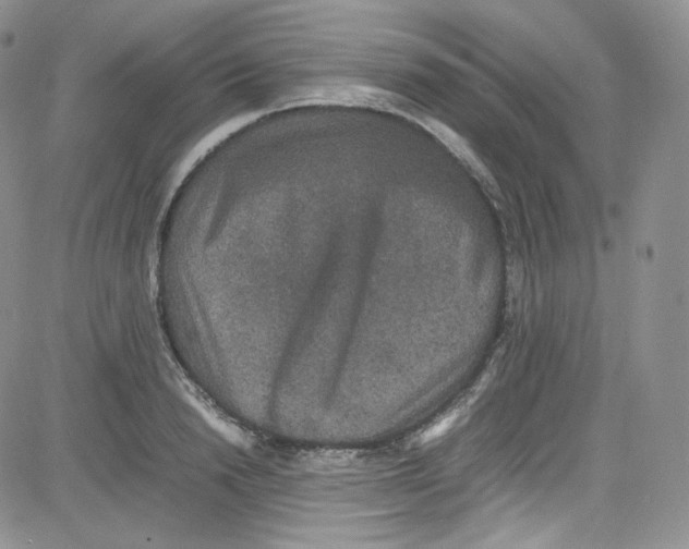 X0000080730846200701051057