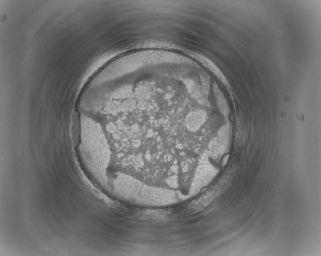 X0000080730847200701051057