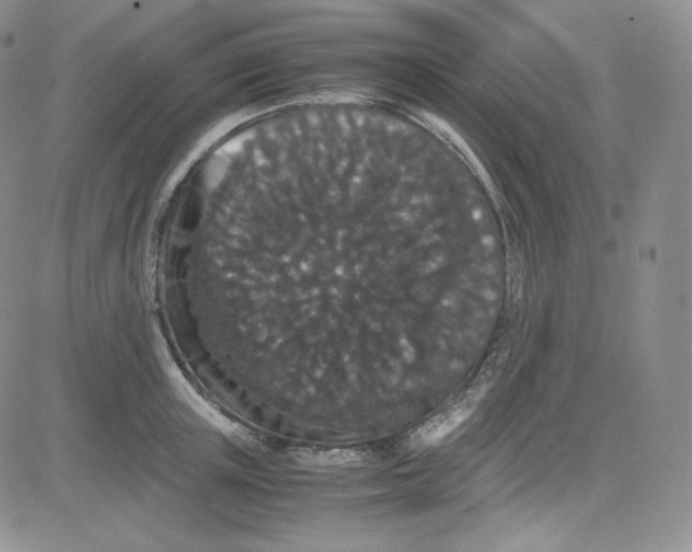 X0000080730851200701051057