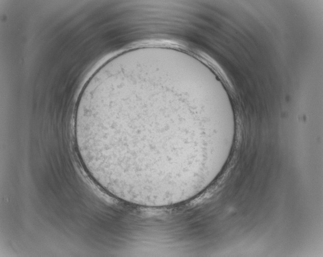 X0000080730852200701051057