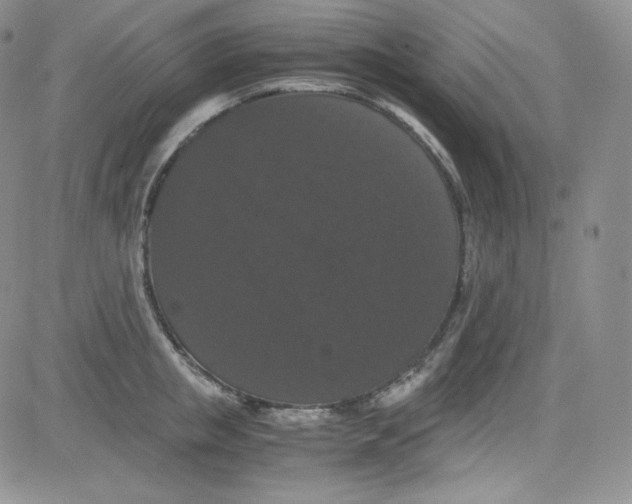 X0000080730853200701051057