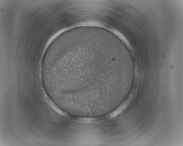 X0000080730854200701051057