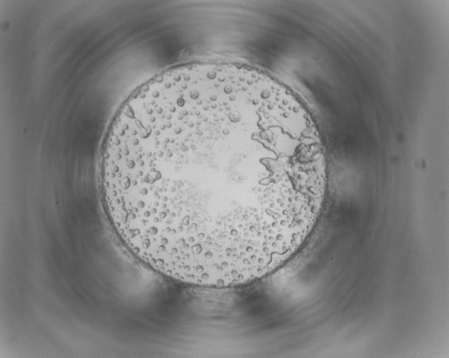 X0000080730856200701051057