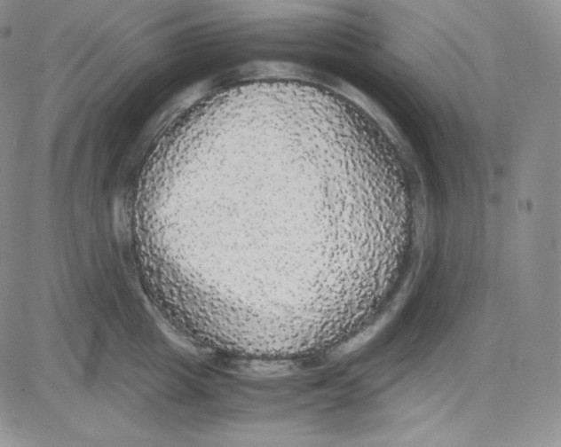 X0000080730857200701051057