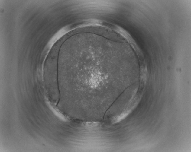 X0000080730858200701051057