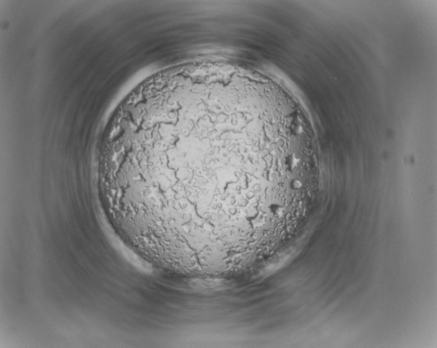 X0000080730859200701051057