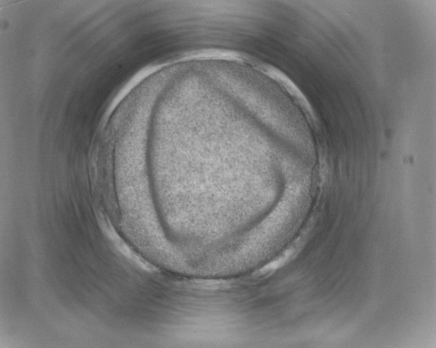 X0000080730860200701051057