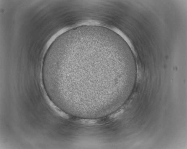 X0000080730861200701051057