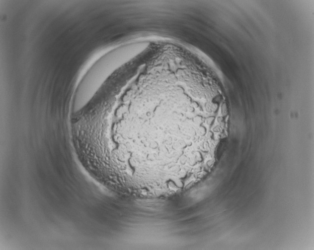 X0000080730863200701051057