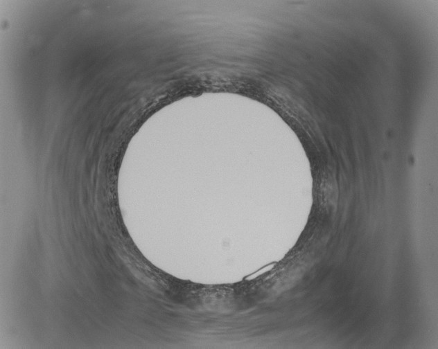 X0000080730865200701051057