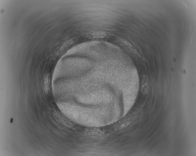 X0000080730866200701051057