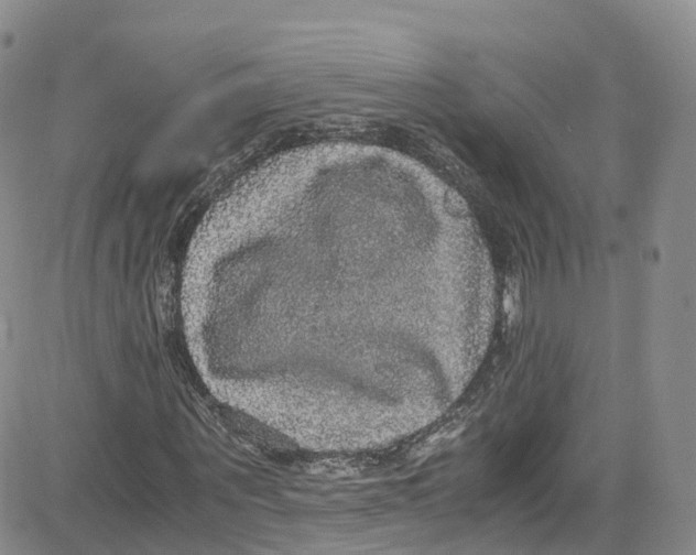 X0000080730867200701051056