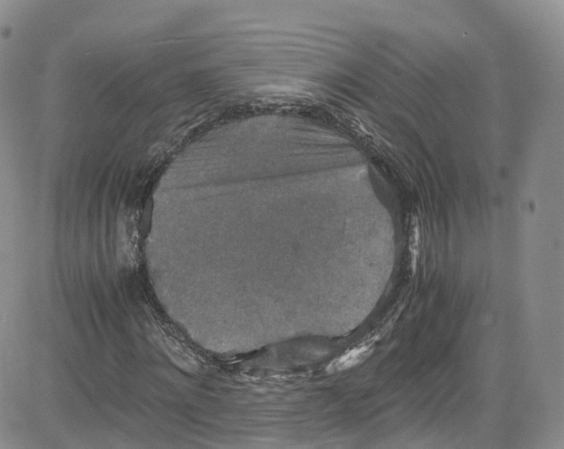 X0000080730868200701051056