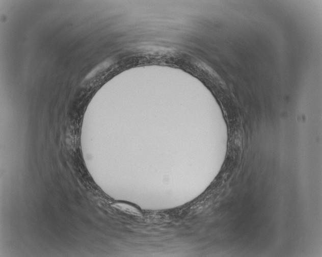 X0000080730869200701051056