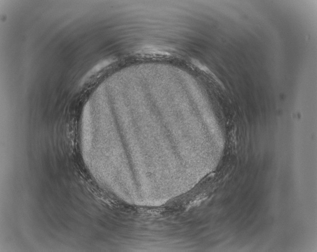 X0000080730870200701051056