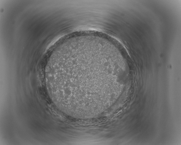 X0000080730871200701051056