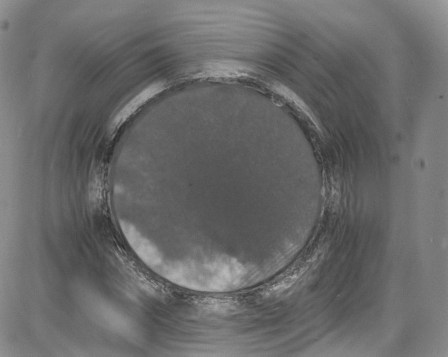 X0000080730874200701051056