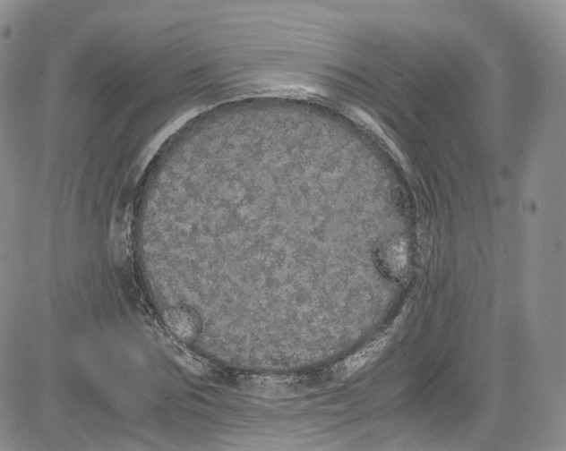 X0000080730875200701051056