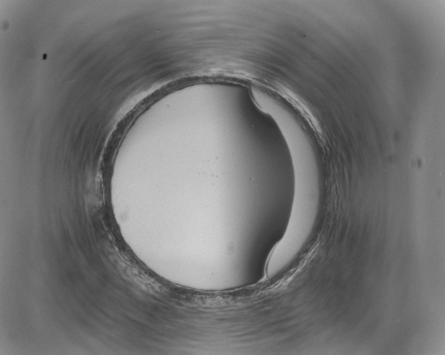 X0000080730876200701051056