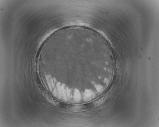 X0000080730879200701051056