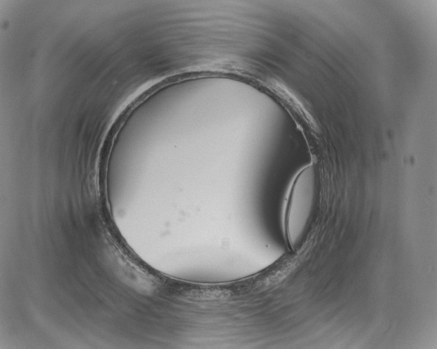 X0000080730884200701051056