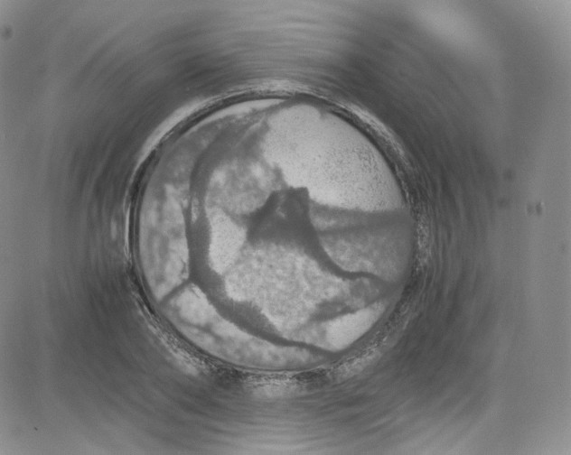 X0000080730886200701051056