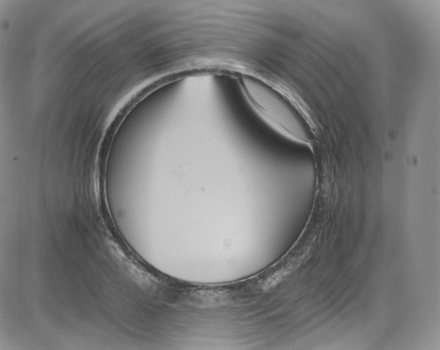 X0000080730888200701051056