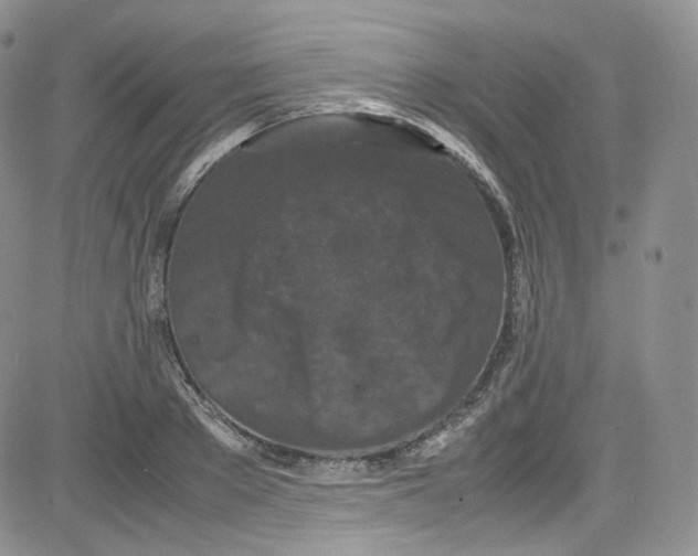 X0000080730889200701051056