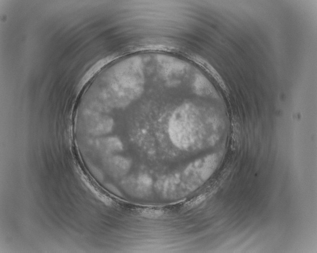 X0000080730890200701051056