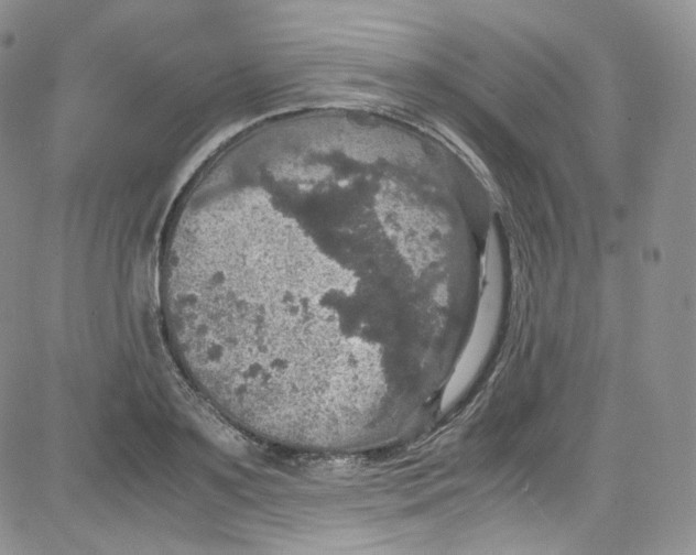 X0000080730891200701051056