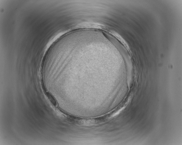 X0000080730893200701051056