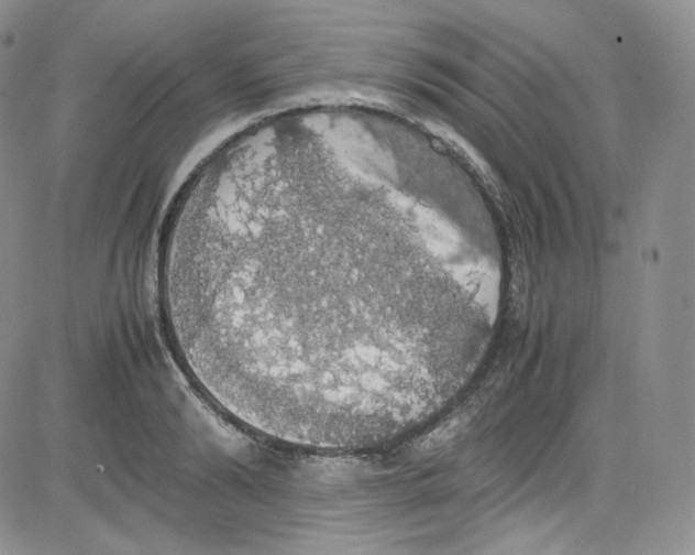 X0000080730894200701051056