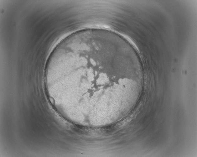 X0000080730895200701051056